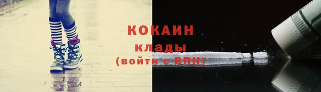 круглые Аркадак