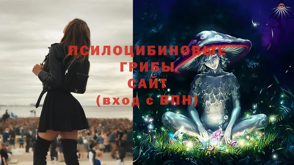 ECSTASY Армянск