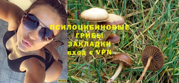 круглые Аркадак